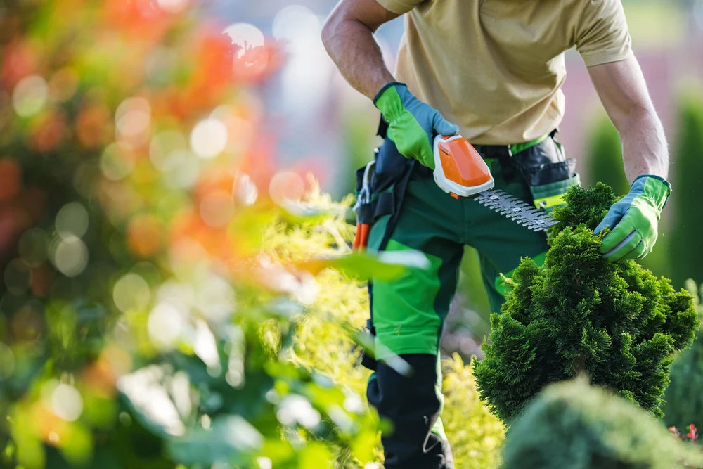 Photographie d'un professionnel du paysagisme effectuant une tonte de pelouse avec tondeuse à gazon dans un jardin résidentiel bien entretenu, montrant l'aspect général d'un travail de maintenance d'espaces verts. Le jardin en arrière-plan doit montrer la diversité d'un aménagement paysager (pelouse, arbres, plantations, mobilier extérieur), illustrant ainsi la multiplicité des services coordonnés par un seul prestataire.