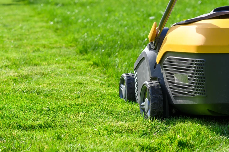 Un professionnel en tenue de travail verte effectue l'entretien d'espaces verts extérieurs avec un taille-haie motorisé