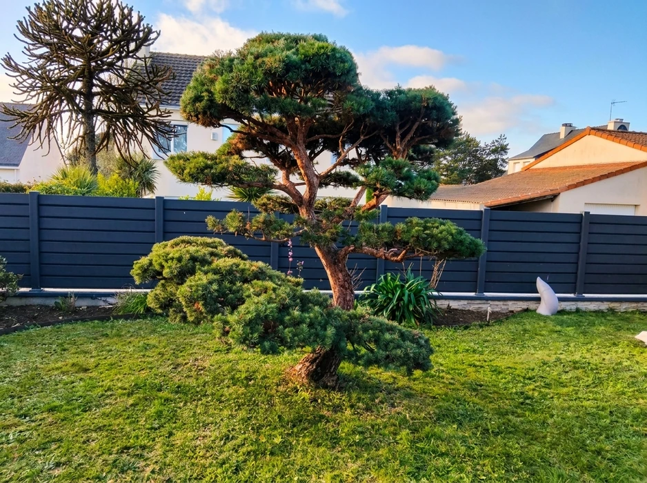 Allée extérieure latérale de maison, aménagement paysager moderne
